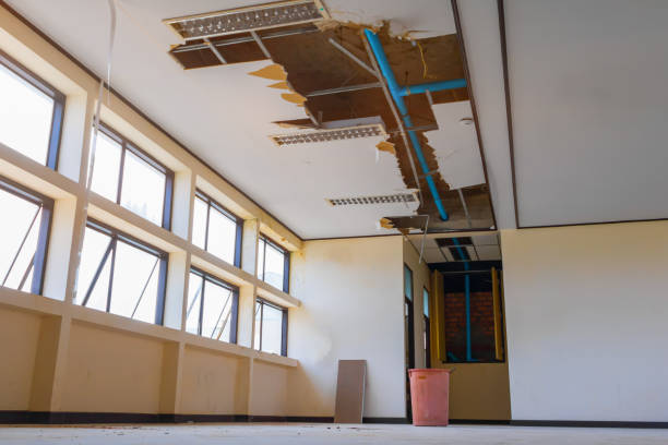 Best Flood restoration services  in Mcpherson, KS