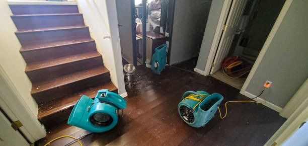 Best Water damage contractors near me  in Mcpherson, KS