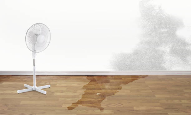 Professional Water damage restoration in KS