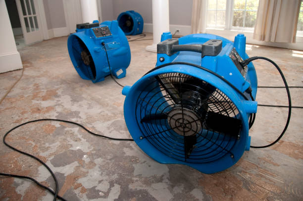 Best Professional water damage repair  in Mcpherson, KS