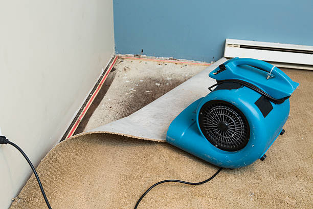 Best Residential water damage restoration  in Mcpherson, KS